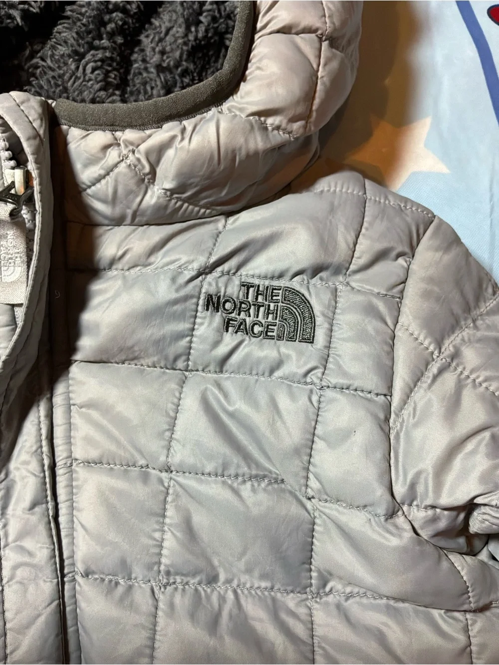 The North Face north face